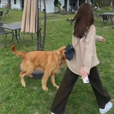 她和我的父亲