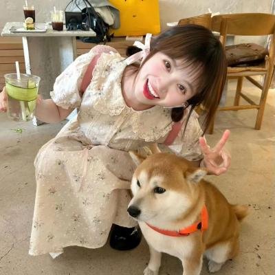 反贪风暴