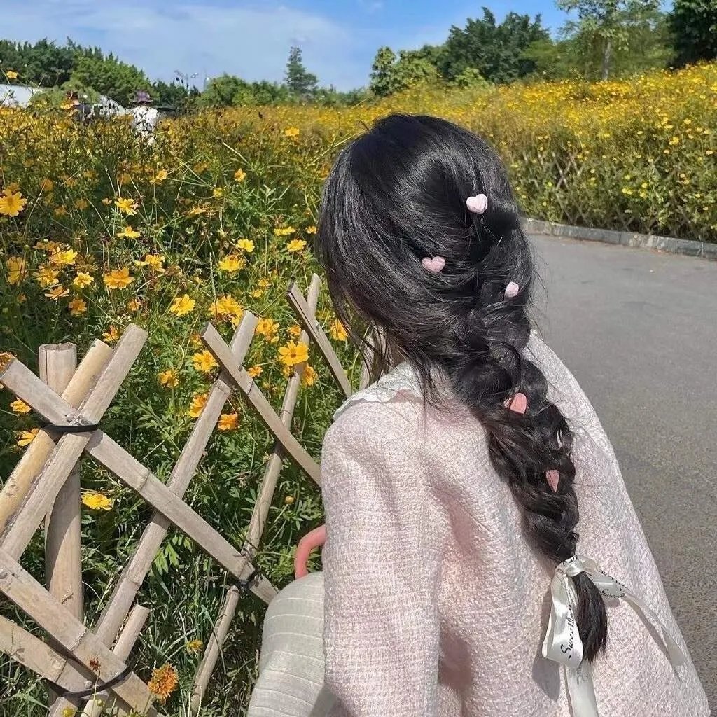 一座岛的永恒